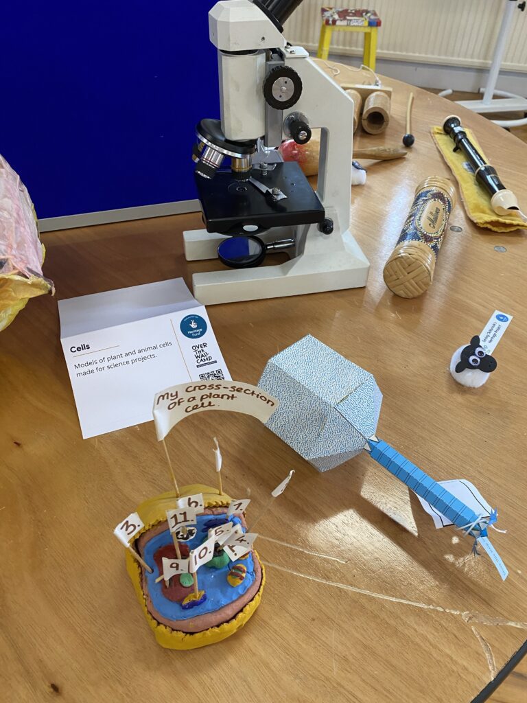 Ockbrook School science equipment